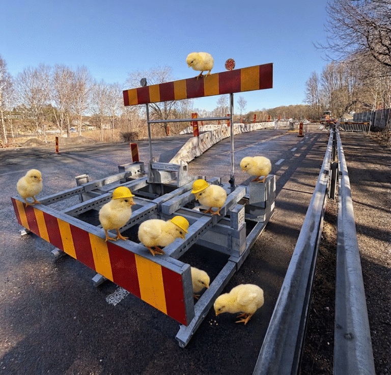 Påskkycklingar inspekterar ZoneStop-installation i Floda